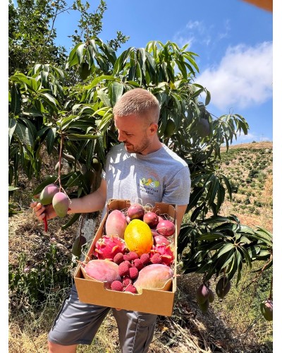 Mix Andaluz | SURTIDOS | Adéntrate en el fascinante mundo de las frutas tropicales con el Mix Andaluz, una selección cuidados...
