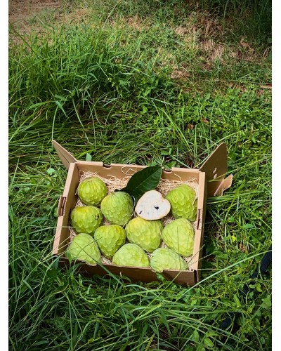 ORGANIC Chirimoya