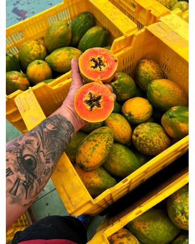 Papayas BIO