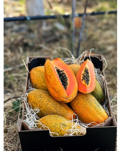 Papayas BIO