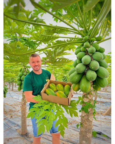 Papayas BIO