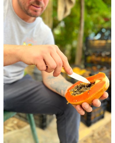 Papayas BIO
