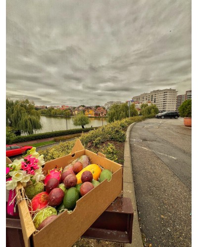 Mix Andaluz | SURTIDOS | Adéntrate en el fascinante mundo de las frutas tropicales con el Mix Andaluz, una selección cuidados...