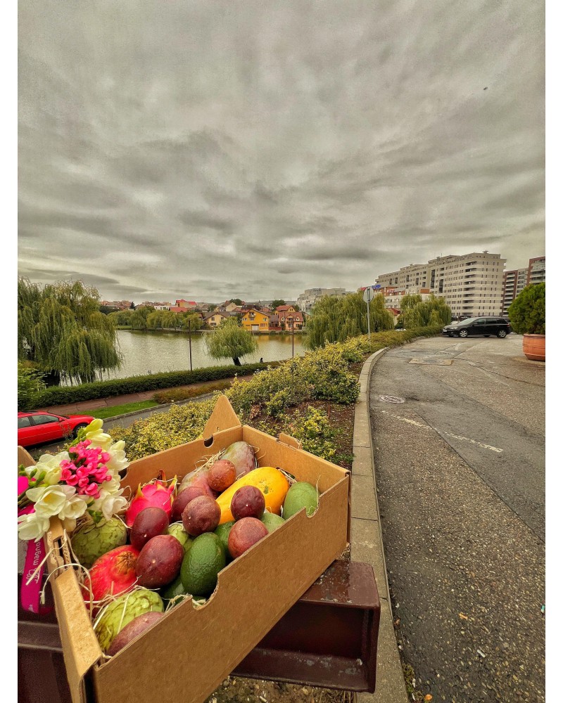 Mix Andaluz | SURTIDOS | Adéntrate en el fascinante mundo de las frutas tropicales con el Mix Andaluz, una selección cuidados...