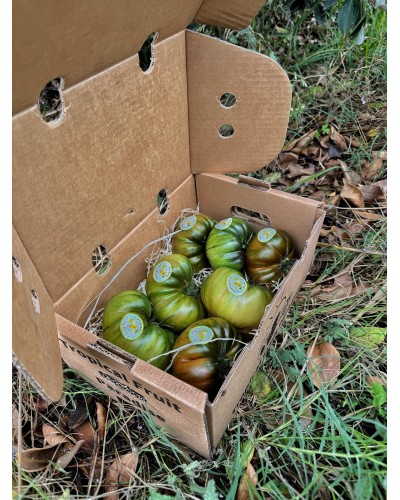 Tomate Raff | TOMATES | De textura firme y pulpa jugosa, el Raff destaca por su equilibrio entre acidez y dulzor, además de s...