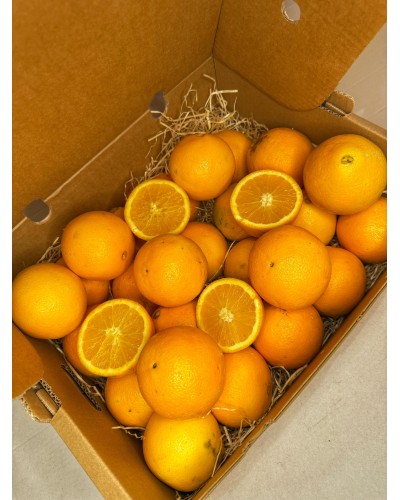 Naranjas BIO | CÍTRICOS | De sabor dulce y refrescante, estas naranjas destacan por su jugosidad y su alto contenido en vitam...