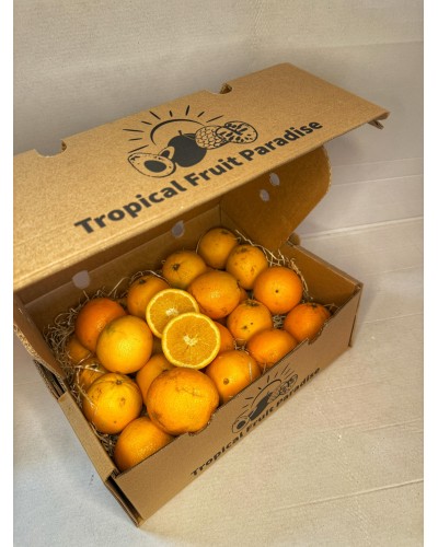 Oranges BIO