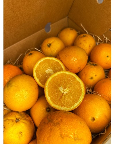 Oranges BIO
