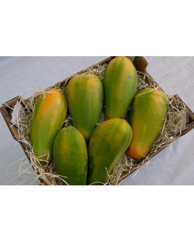 Papayas BIO